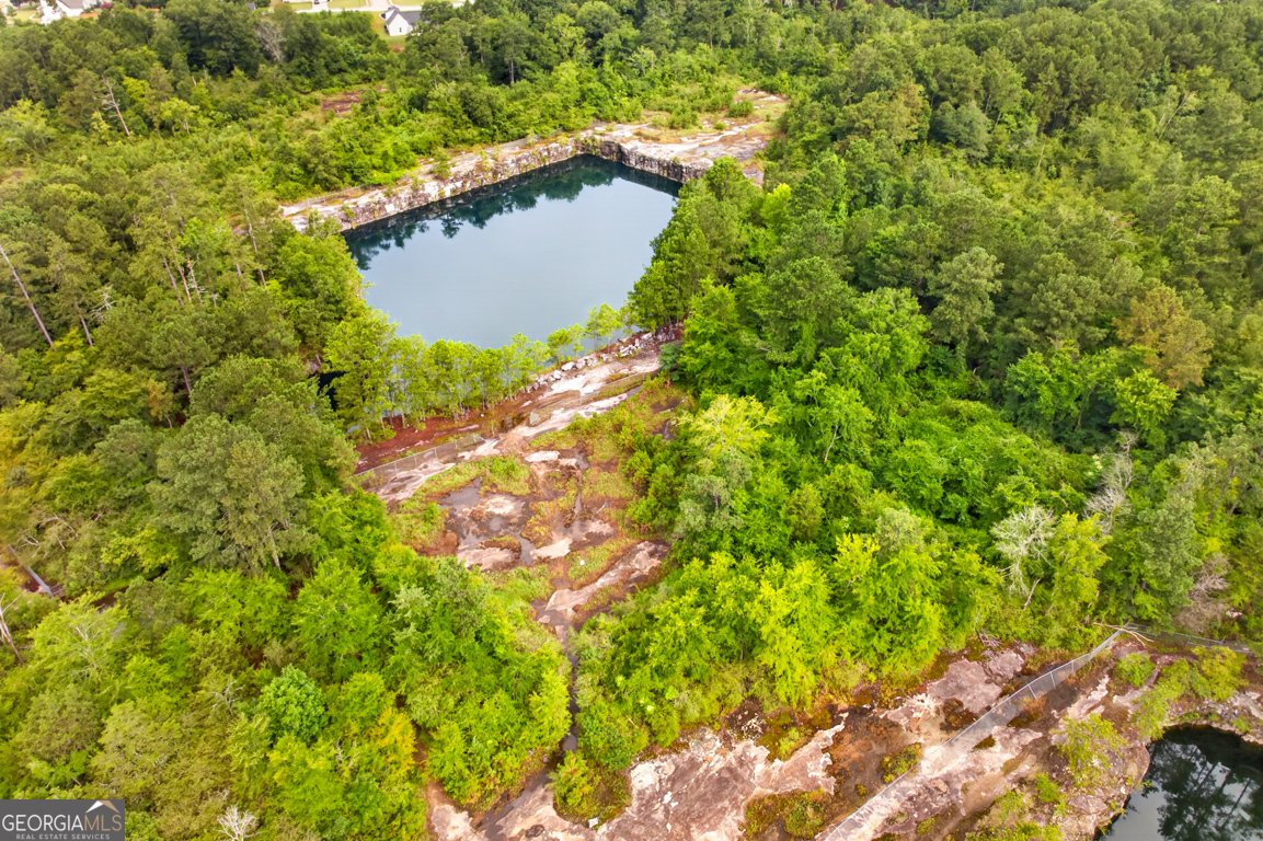 334 Annslee Circle Loganville - Photo 34