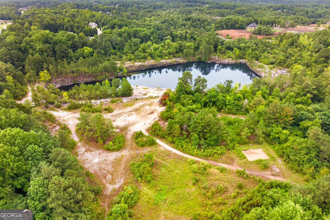 334 Annslee Circle Loganville - Photo 39