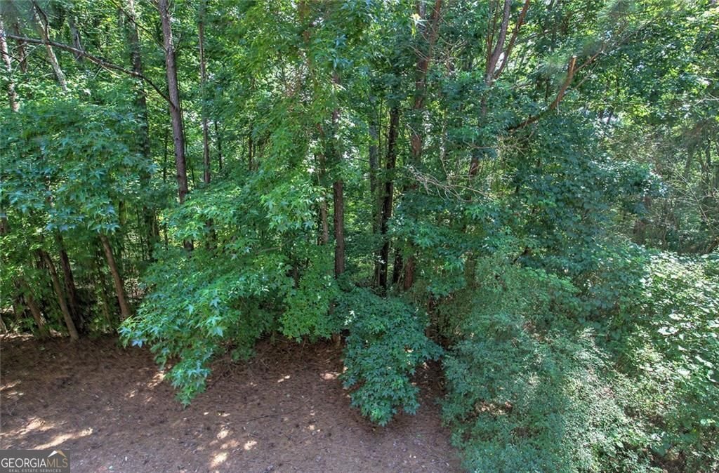 5205 Waters Edge Trail Roswell - Photo 52