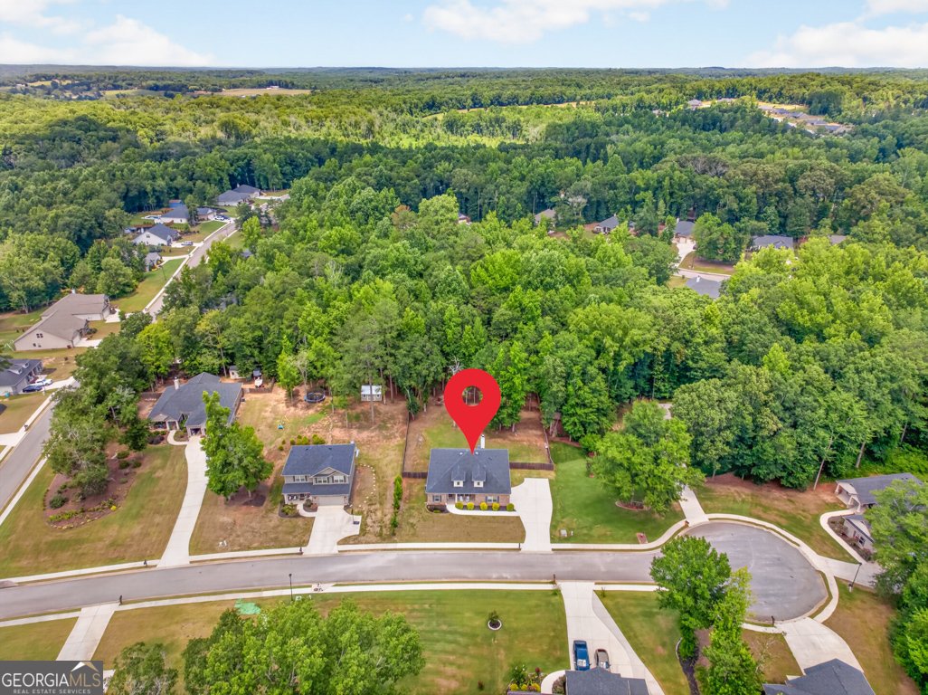 517 Forest Path Jefferson - Photo 49