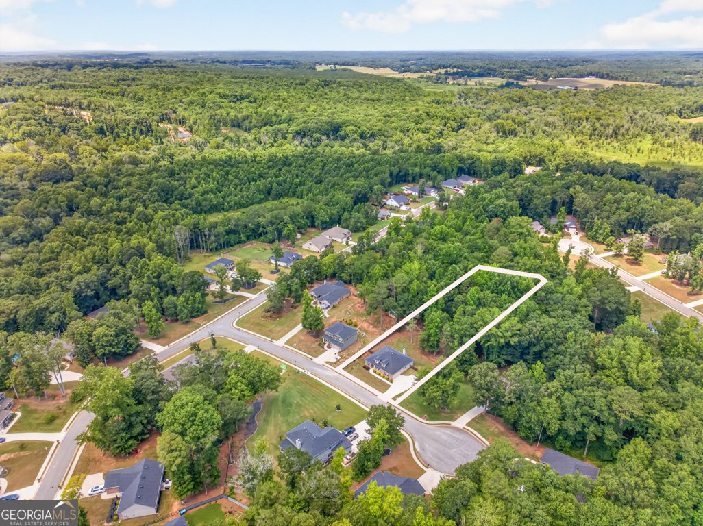 517 Forest Path Jefferson - Photo 7