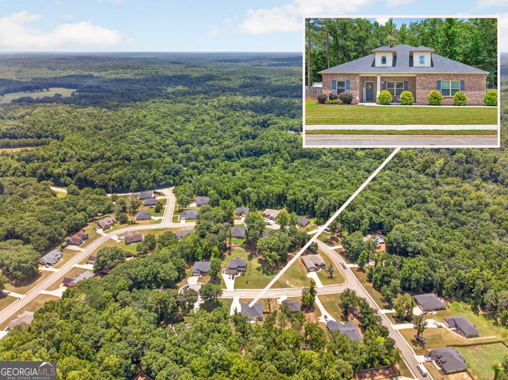 517 Forest Path Jefferson - Photo 8