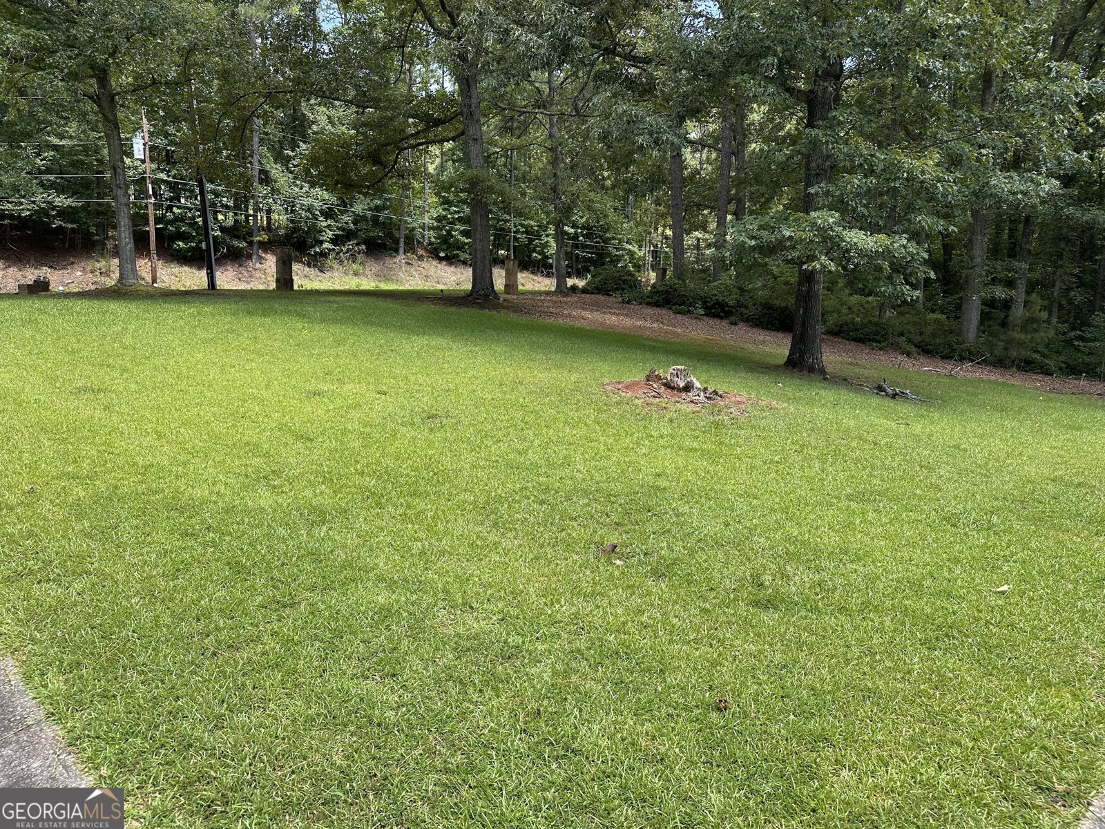 4520 Thompson Road Atlanta - Photo 10
