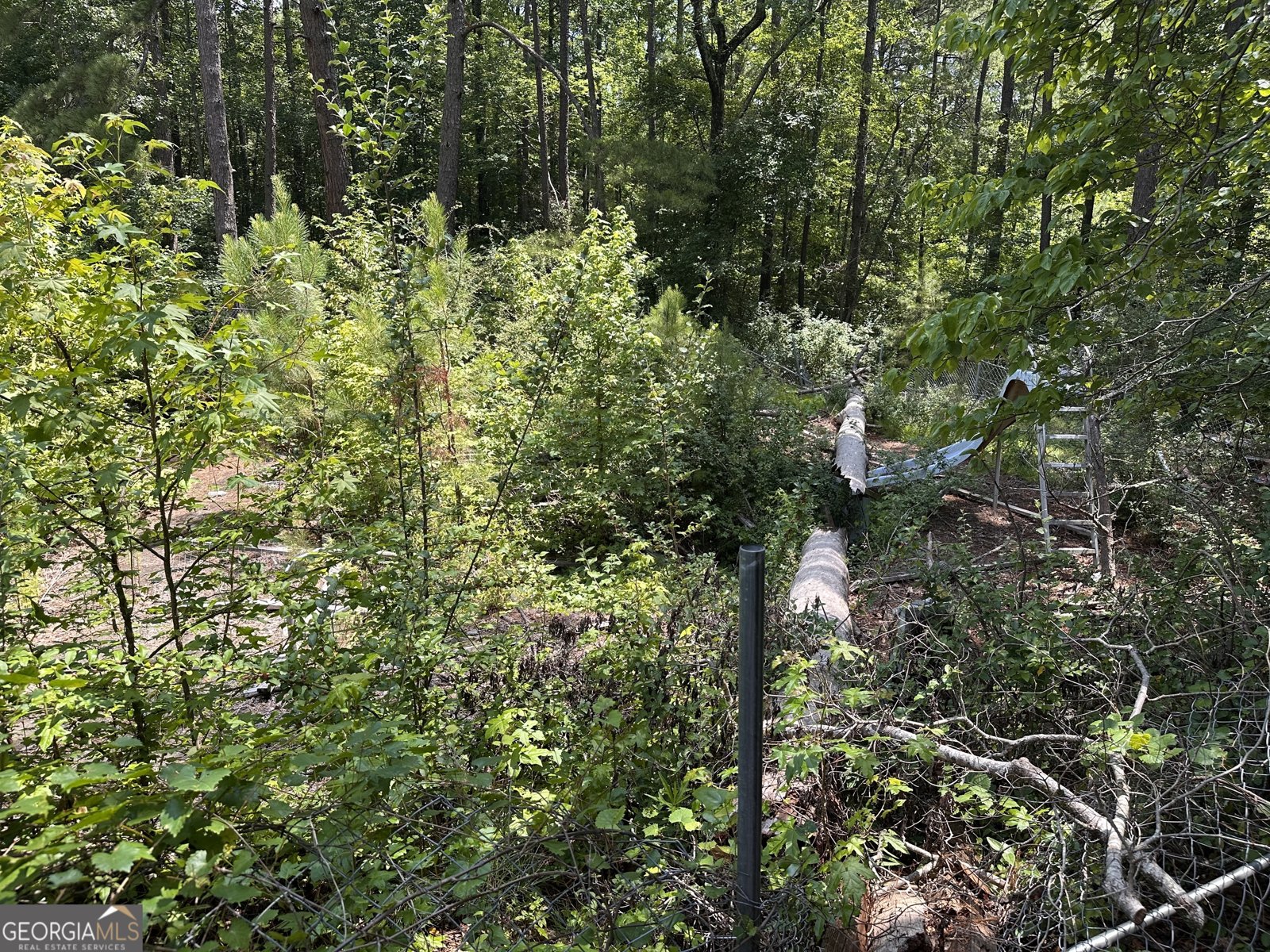 4520 Thompson Road Atlanta - Photo 12