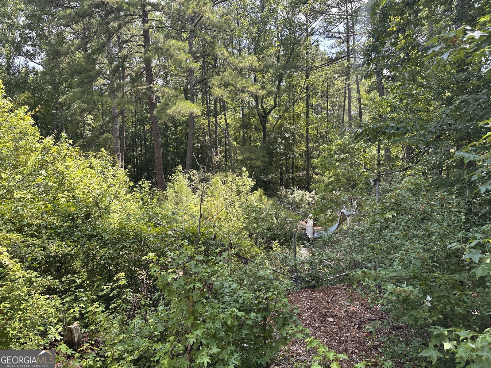 4520 Thompson Road Atlanta - Photo 9