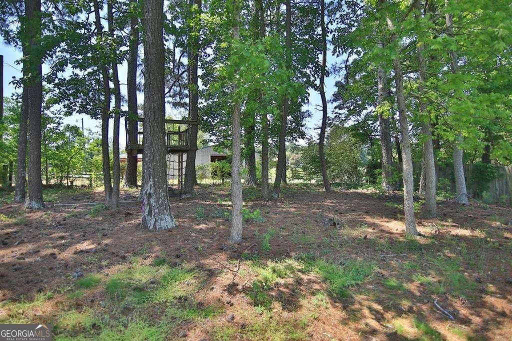 3131 Seneca Farm Lane Buford - Photo 27