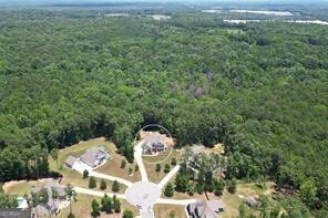 149 Palomino Circle Newnan - Photo 78