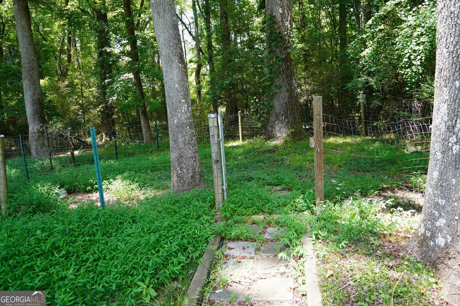 119 Cumberland Road Griffin - Photo 30