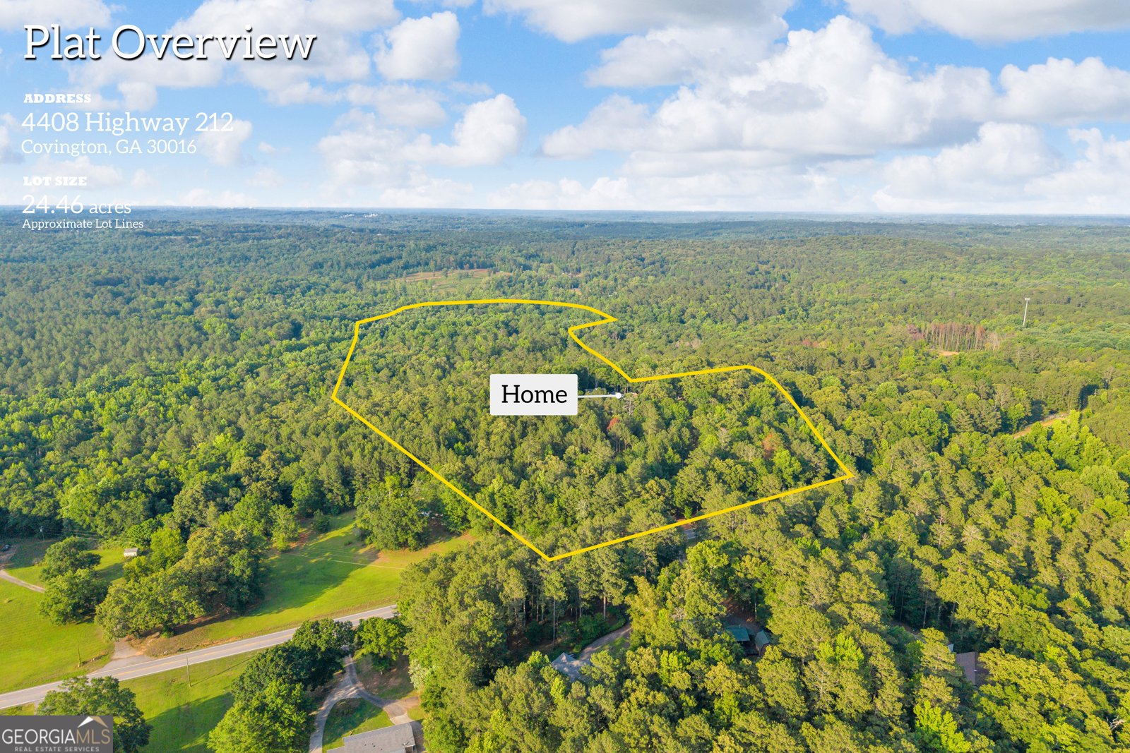 4408 Highway Covington - Photo 39