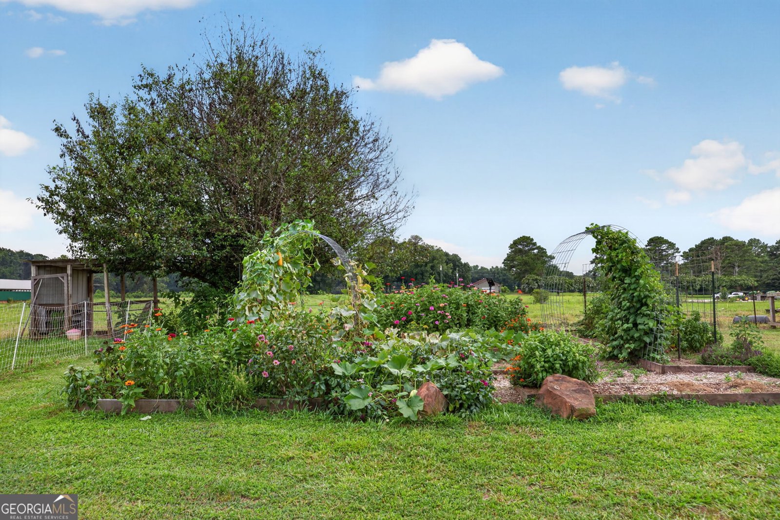 301 Thomas Wilson Road Roopville - Photo 38