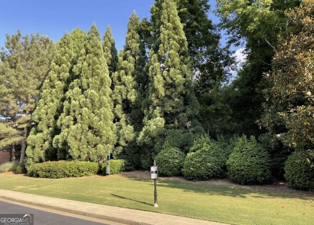 6036 Coldwater Point Johns Creek - Photo 37