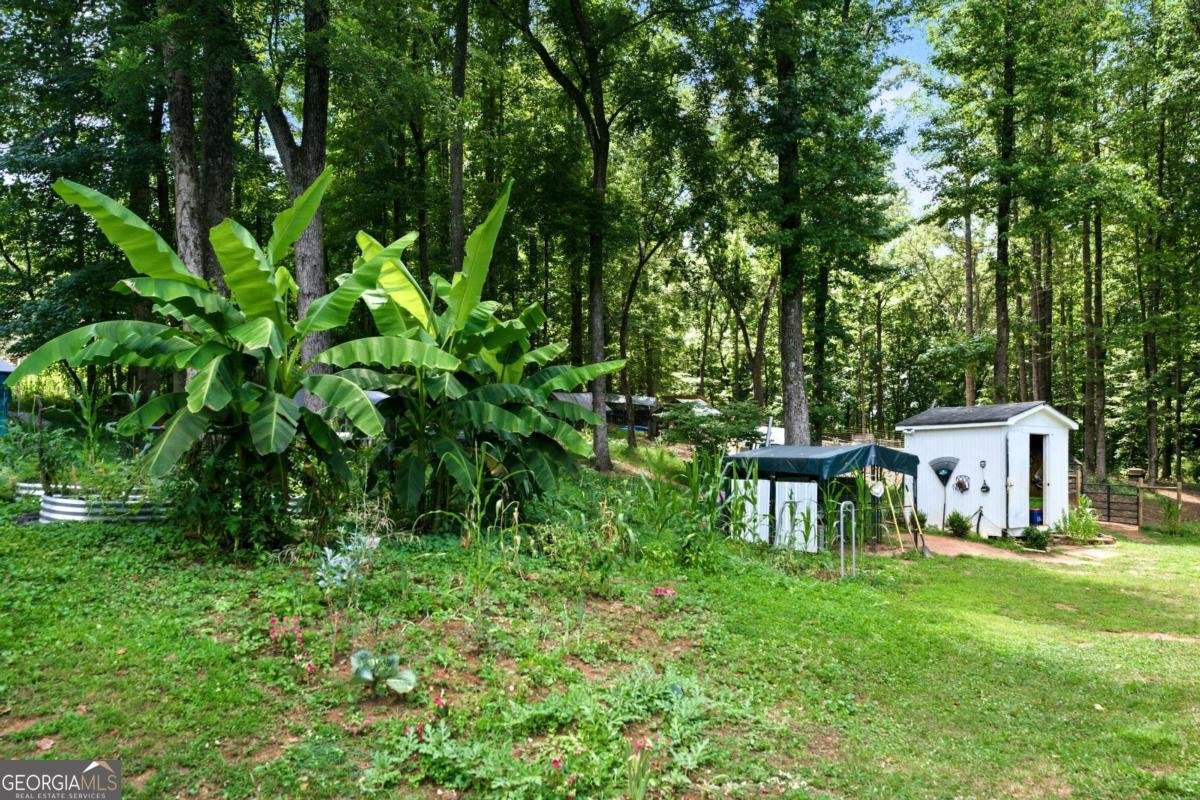1042 Carl Bramlett Road Winder - Photo 31