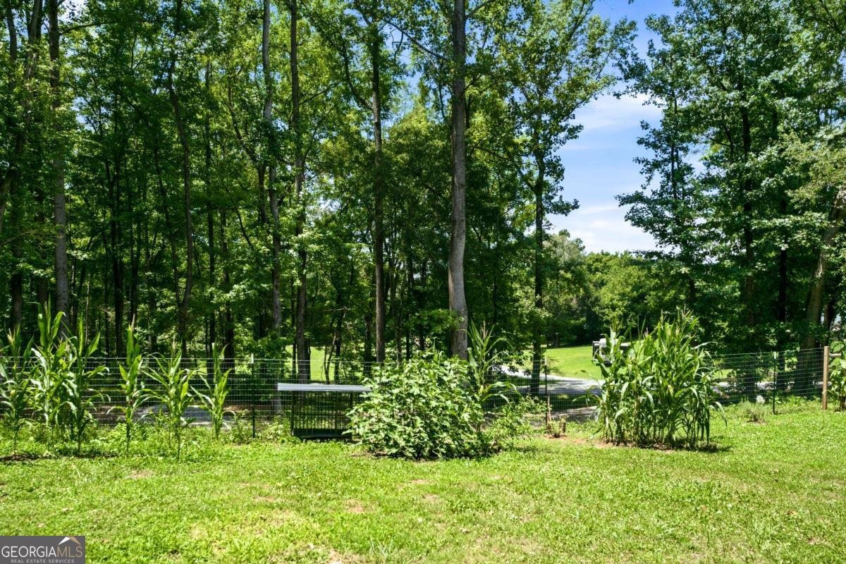 1042 Carl Bramlett Road Winder - Photo 32