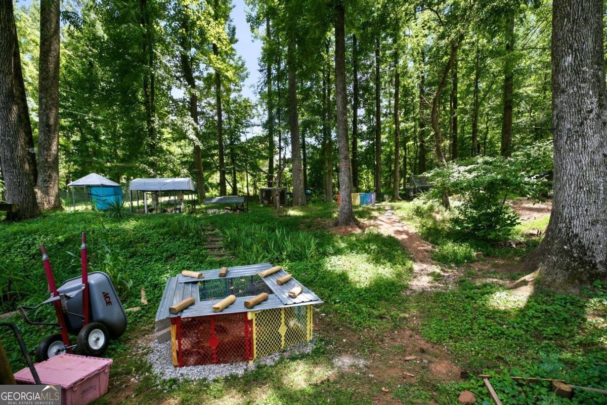 1042 Carl Bramlett Road Winder - Photo 33
