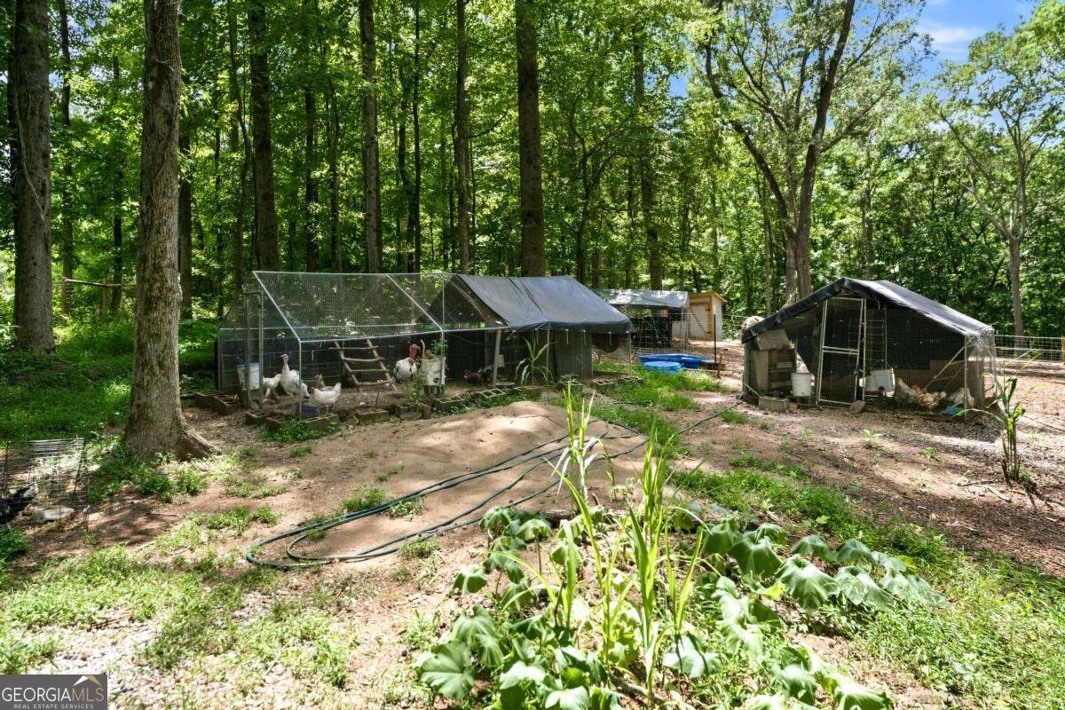 1042 Carl Bramlett Road Winder - Photo 34