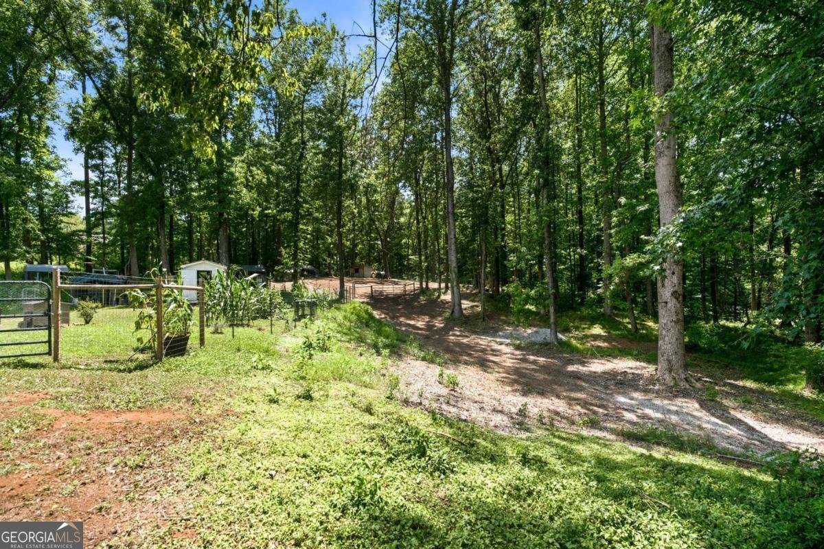 1042 Carl Bramlett Road Winder - Photo 35