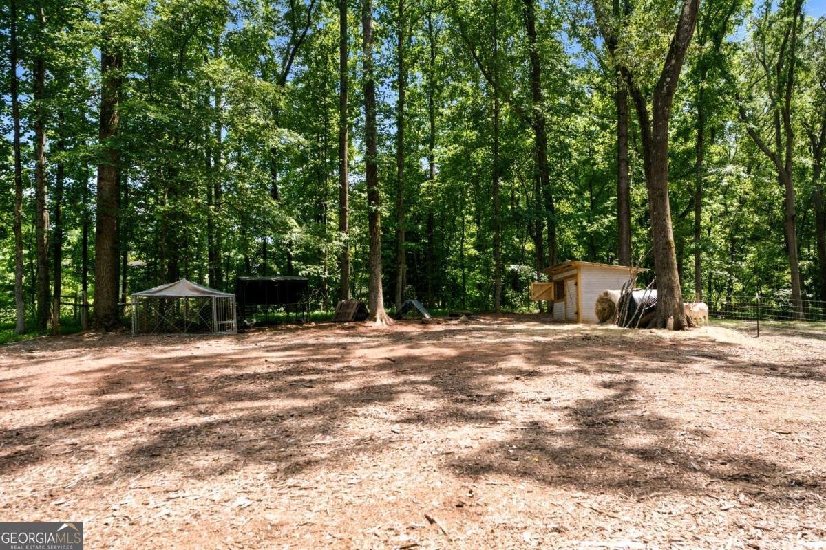 1042 Carl Bramlett Road Winder - Photo 38