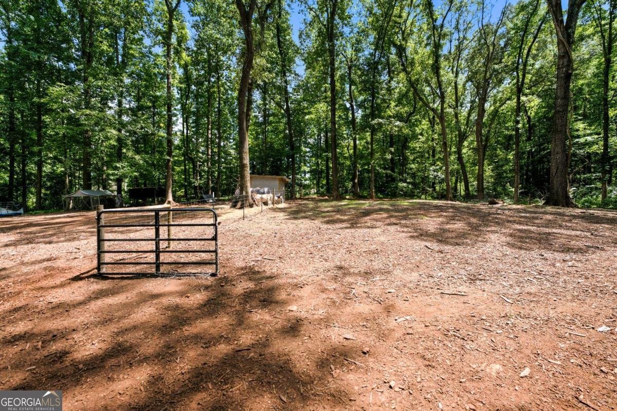 1042 Carl Bramlett Road Winder - Photo 39