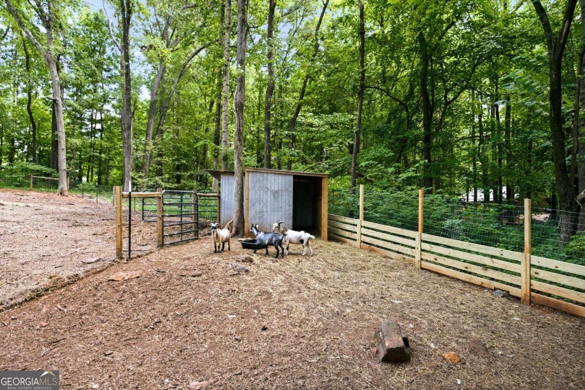 1042 Carl Bramlett Road Winder - Photo 41