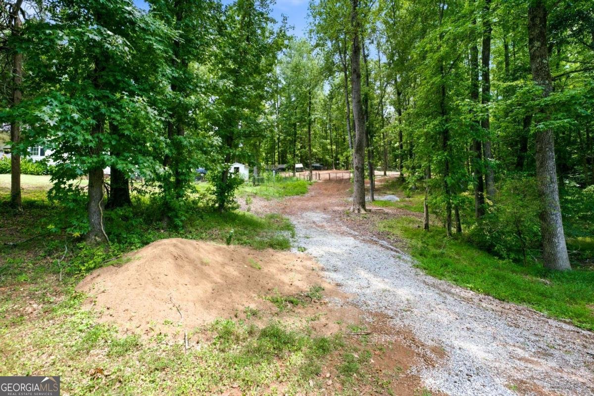 1042 Carl Bramlett Road Winder - Photo 42