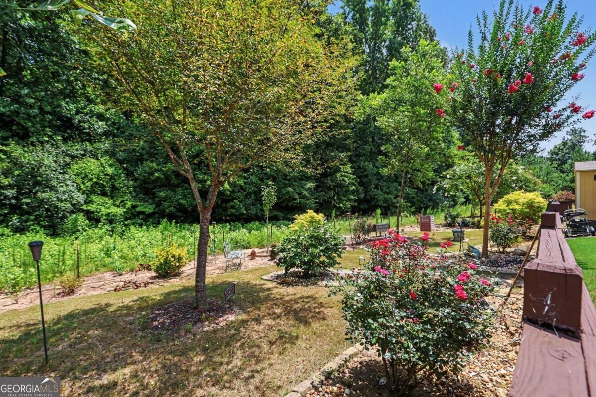 265 Mulberry Drive Senoia - Photo 22