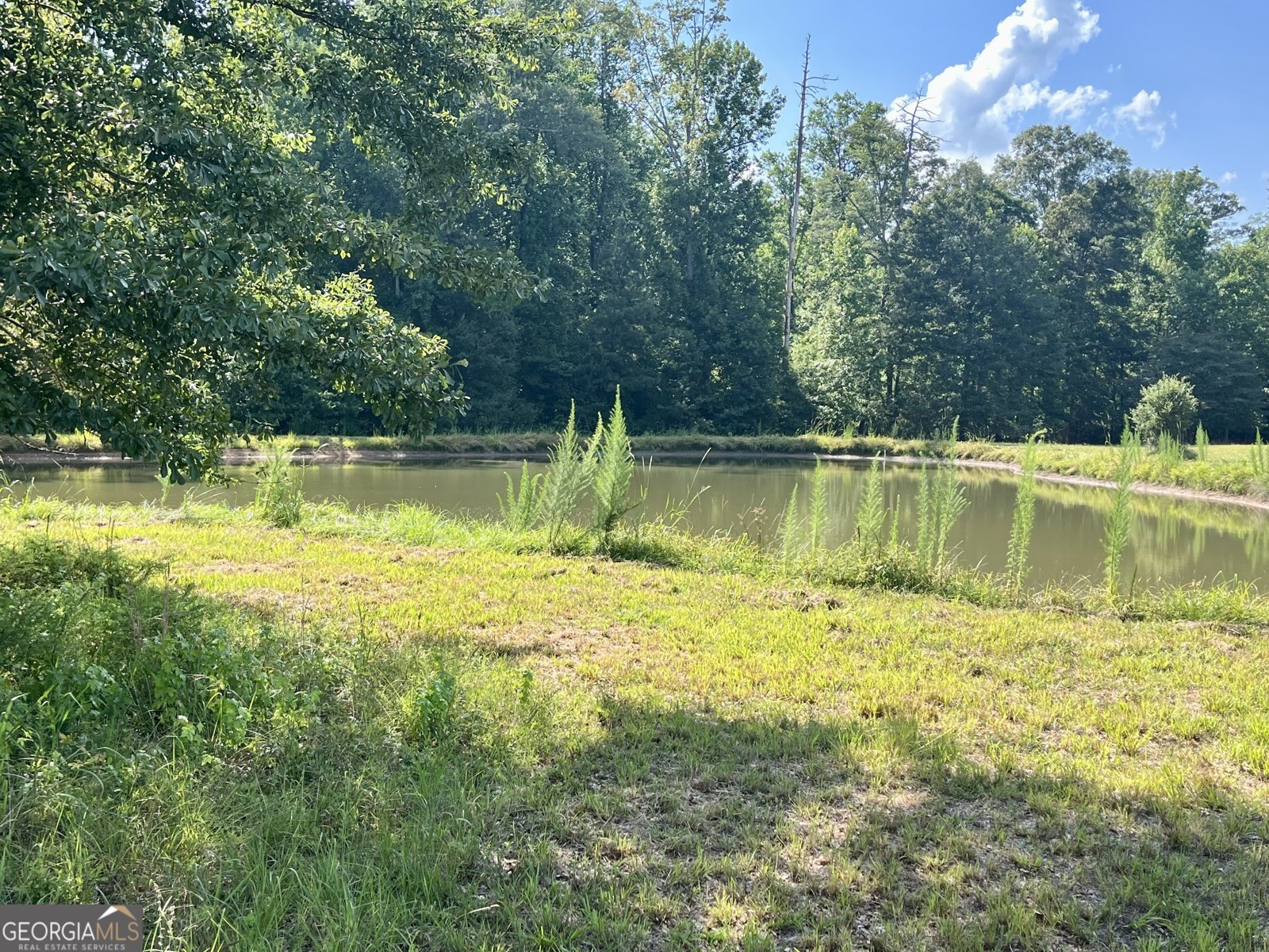 348 Lenox Circle Griffin - Photo 14
