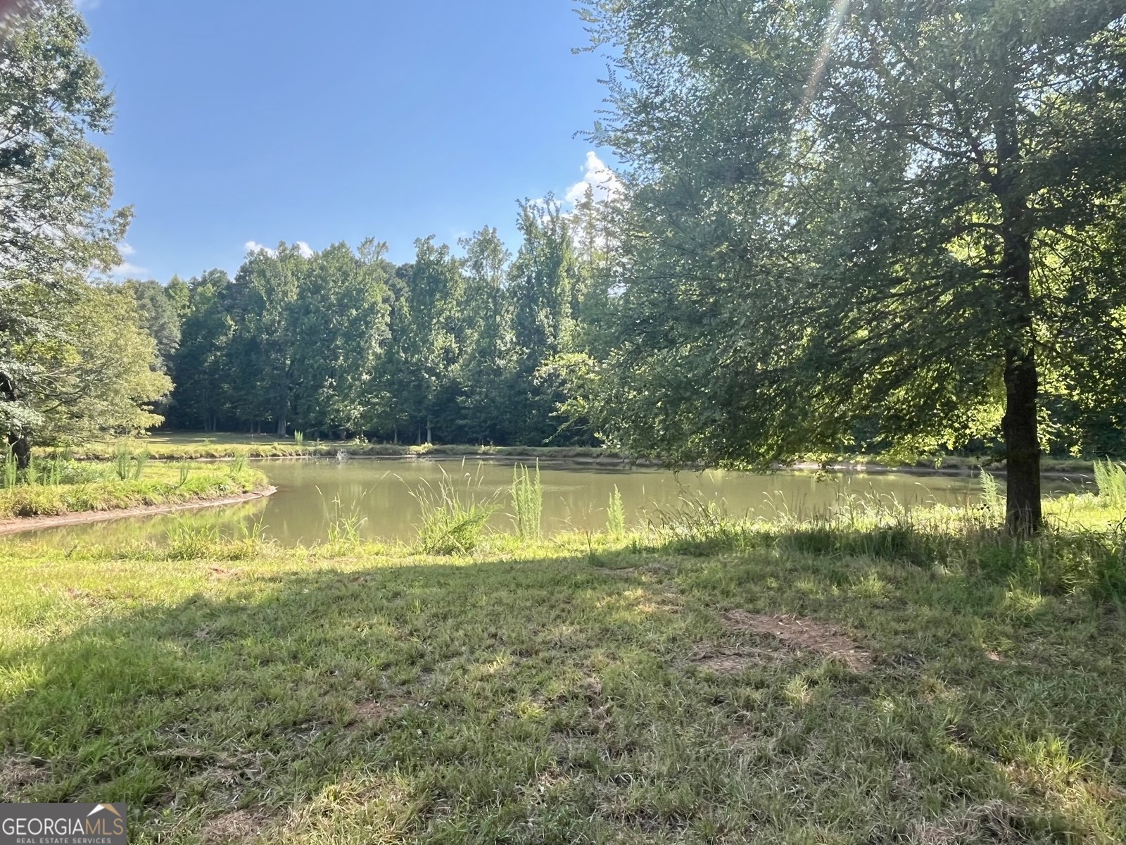 348 Lenox Circle Griffin - Photo 39
