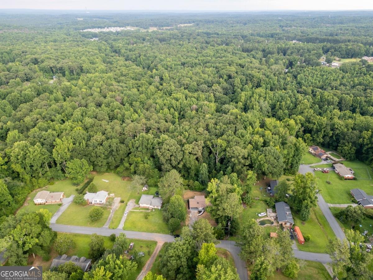 38 Red Oak Drive Newnan - Photo 30