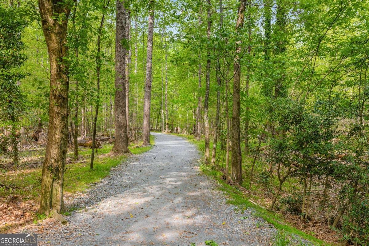 700 Cedar Knoll Drive Roswell - Photo 58