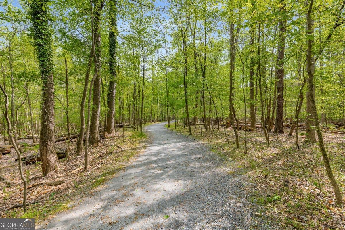 700 Cedar Knoll Drive Roswell - Photo 59