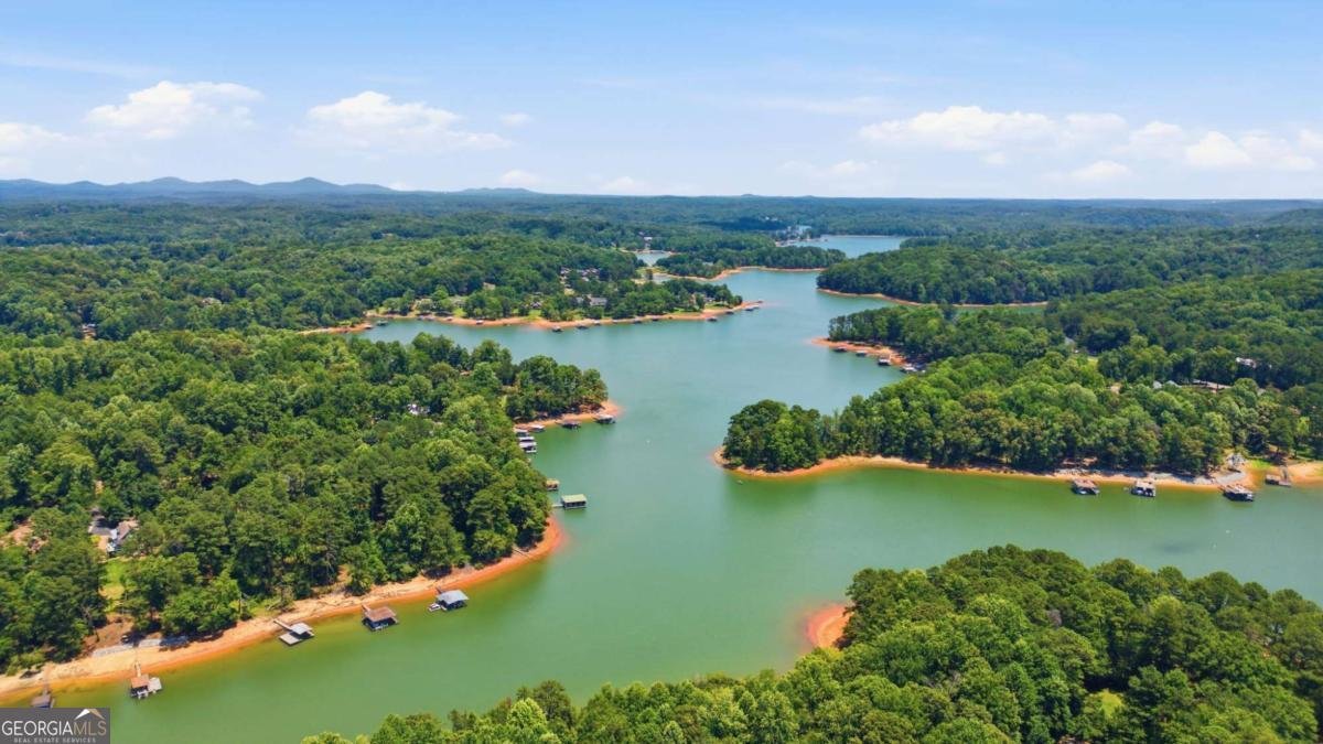 426 Thompson Creek Park Road Dawsonville - Photo 14
