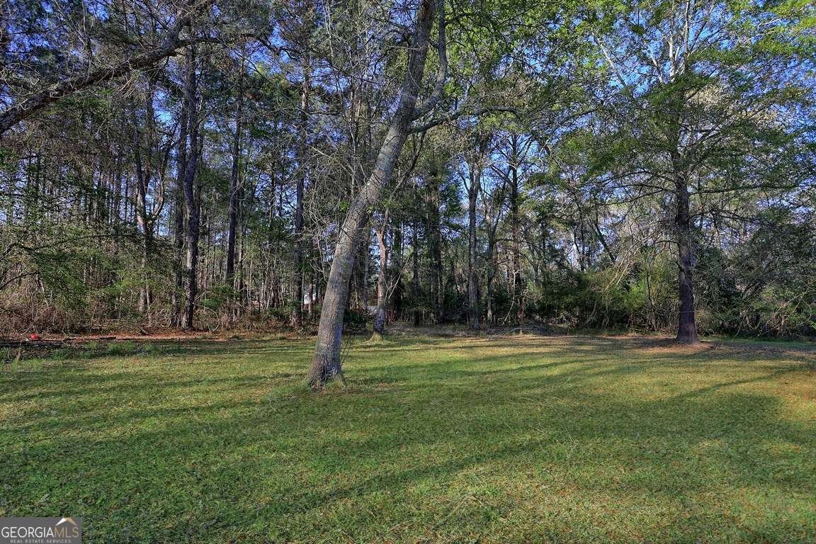 19727 Highway 80 Statesboro - Photo 28