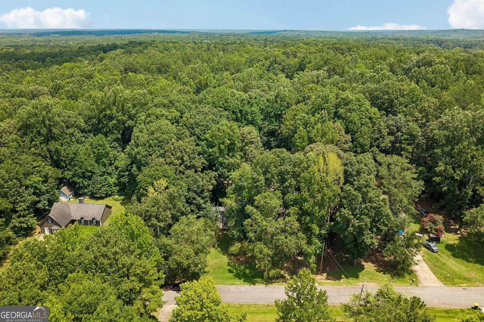185 Starrs Mill Drive Senoia - Photo 40