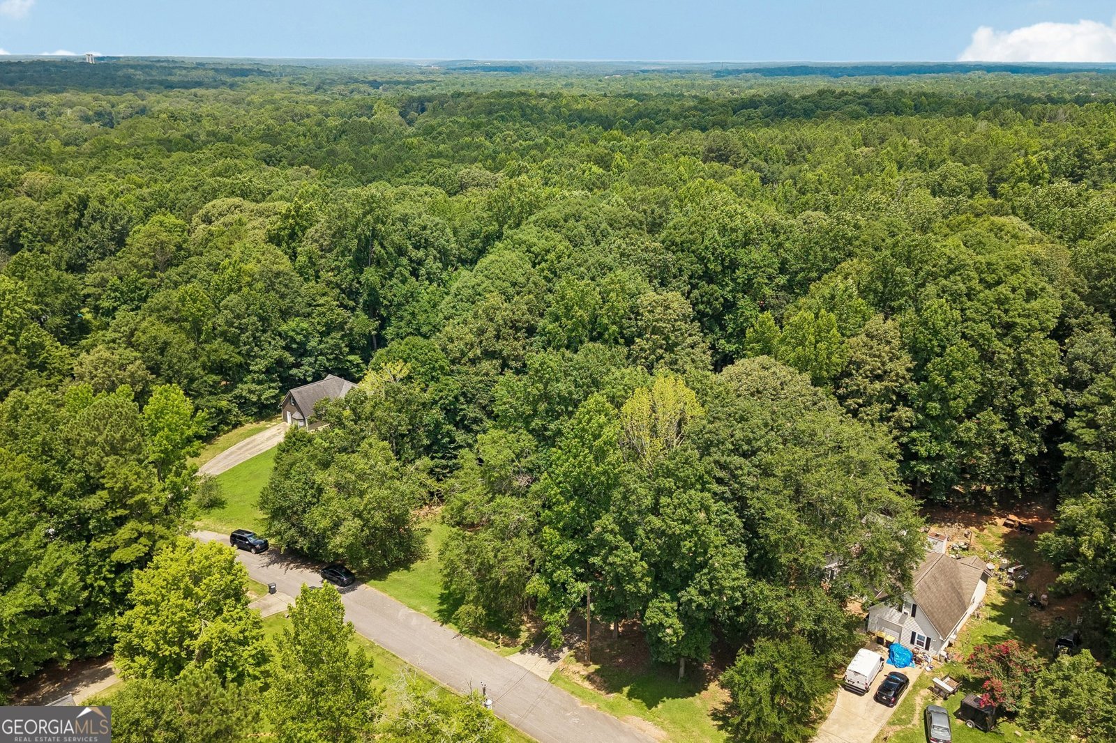 185 Starrs Mill Drive Senoia - Photo 42