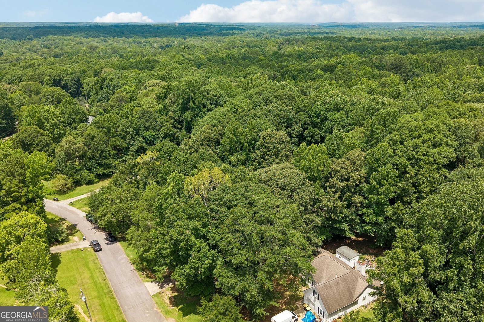 185 Starrs Mill Drive Senoia - Photo 43