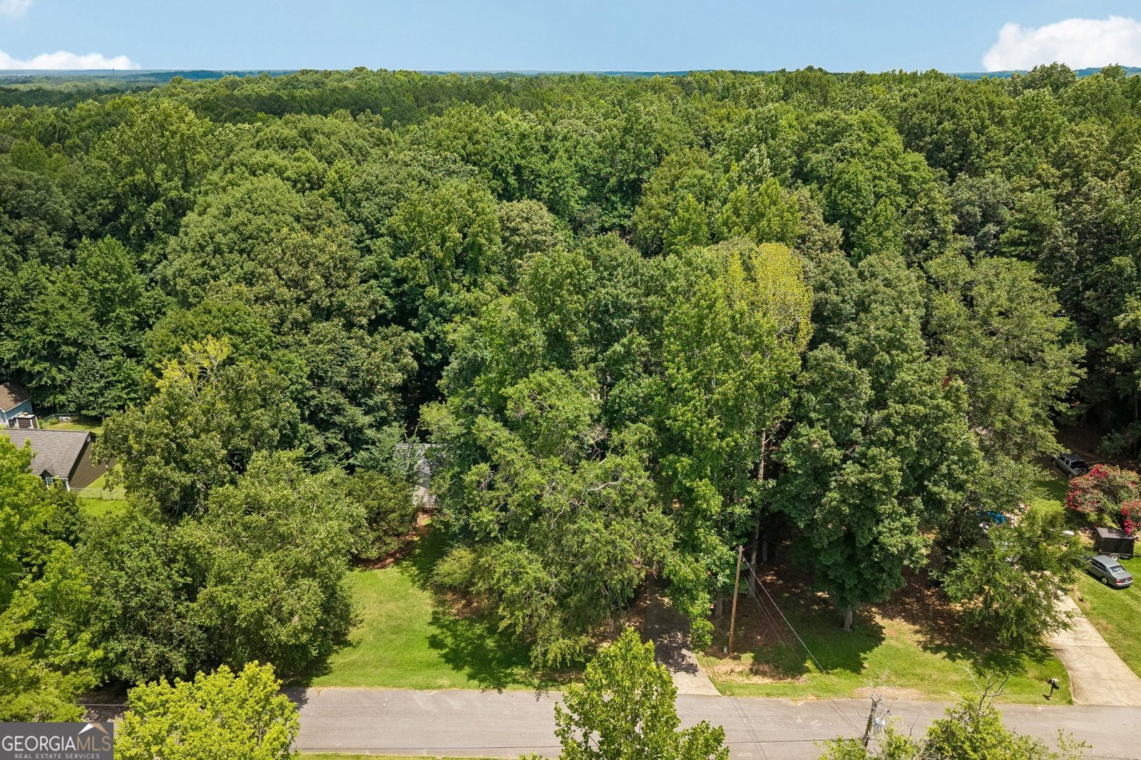 185 Starrs Mill Drive Senoia - Photo 44