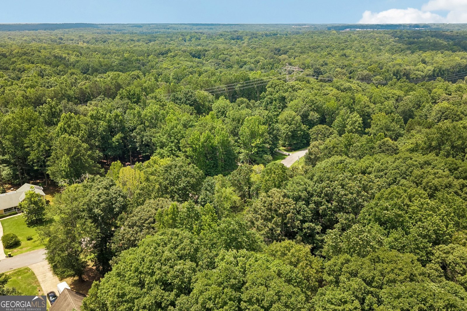 185 Starrs Mill Drive Senoia - Photo 46