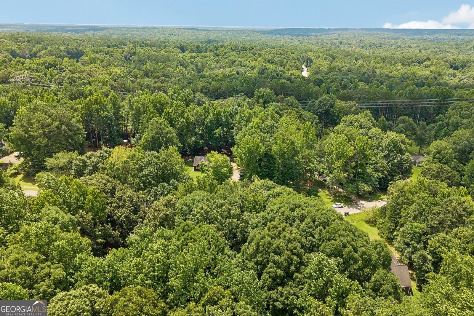 185 Starrs Mill Drive Senoia - Photo 47