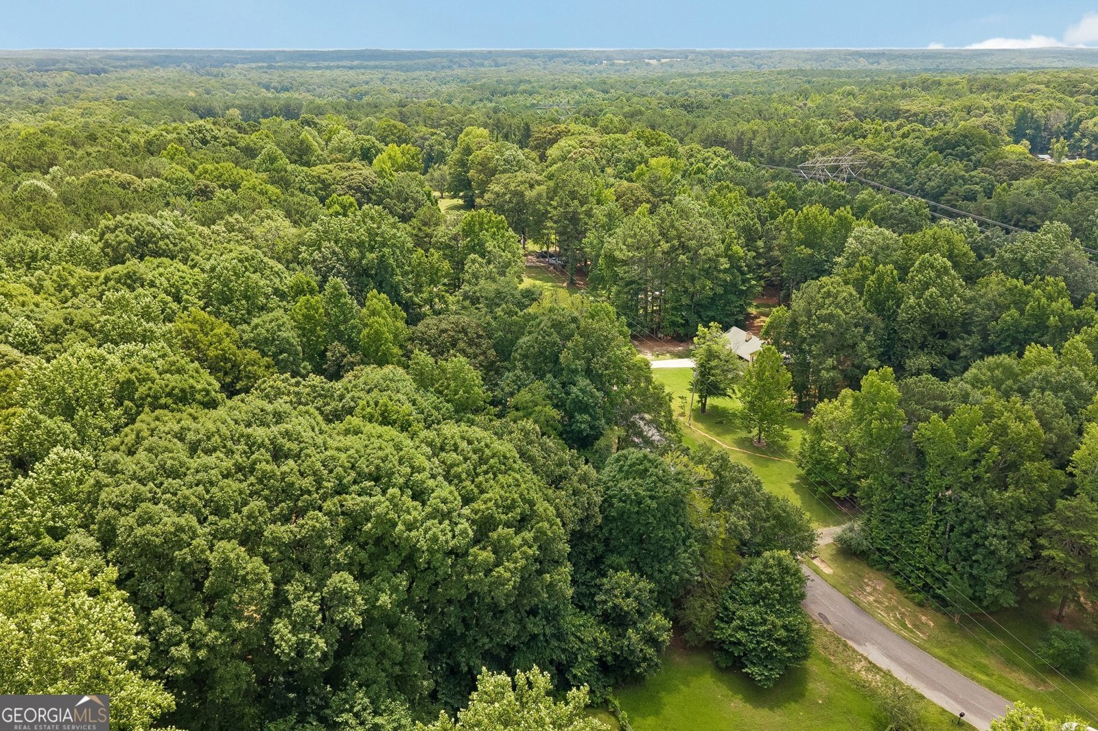 185 Starrs Mill Drive Senoia - Photo 48