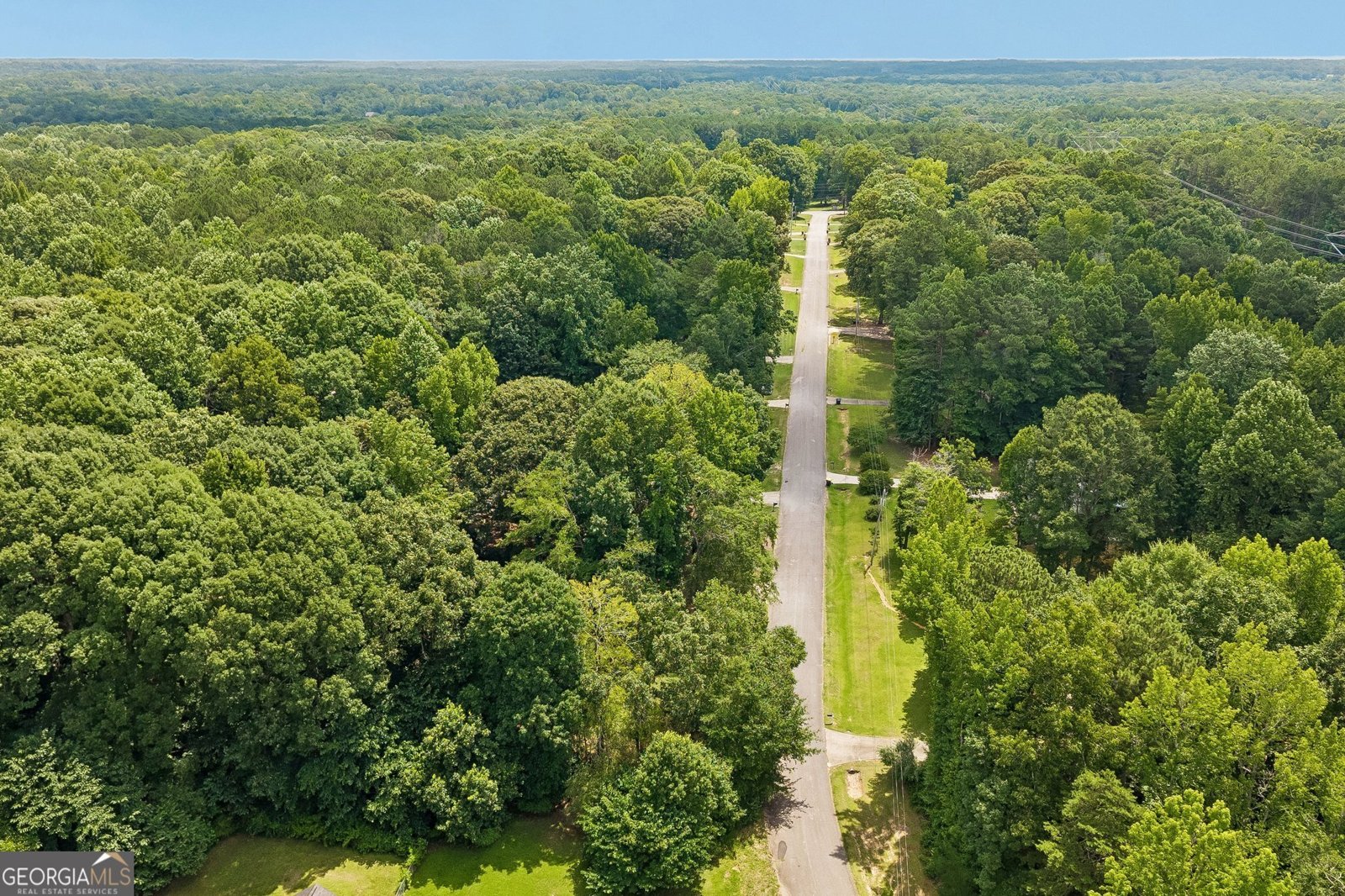 185 Starrs Mill Drive Senoia - Photo 49