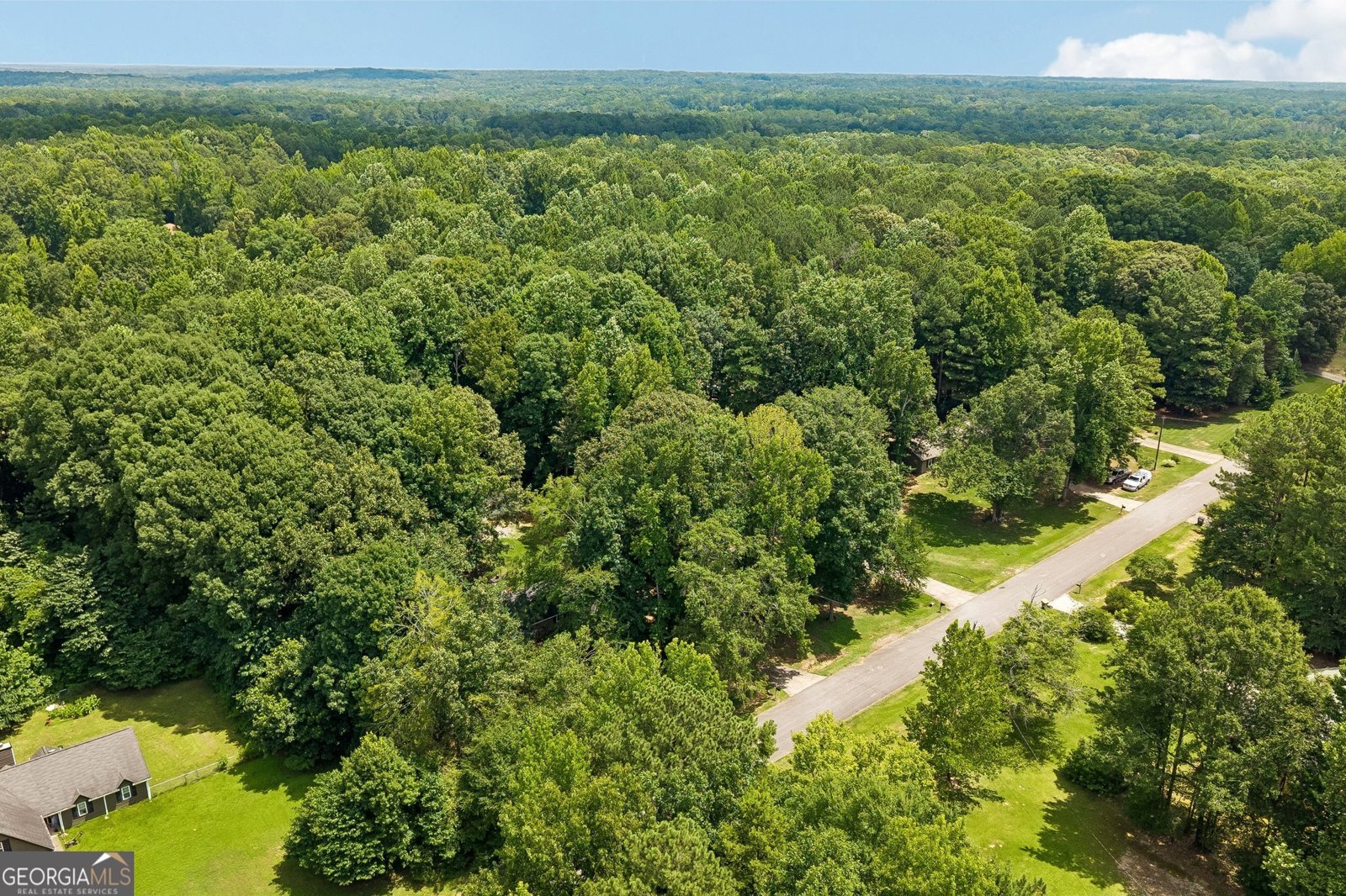 185 Starrs Mill Drive Senoia - Photo 50
