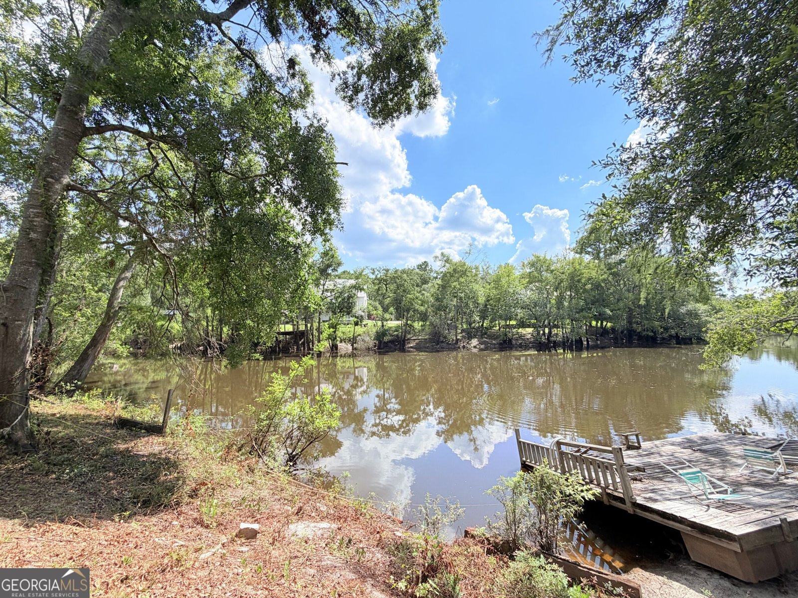 86 Shadydale Road Lumber City - Photo 40