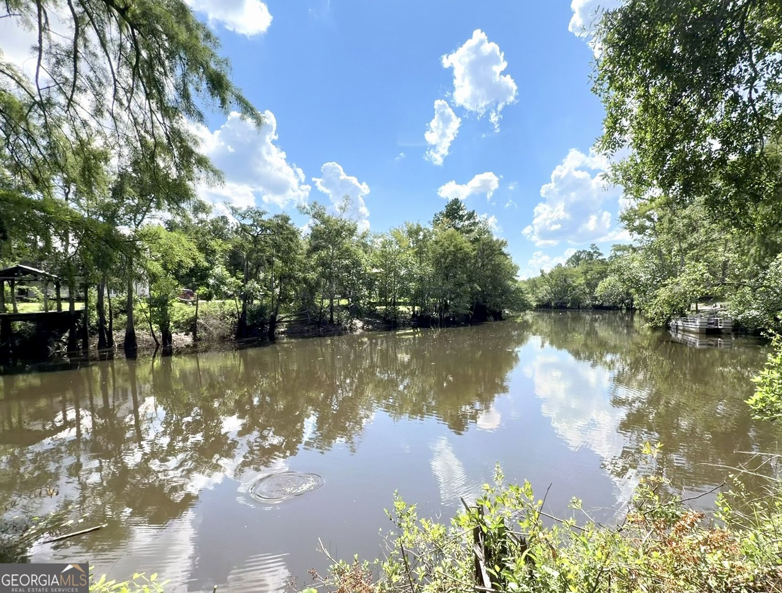 86 Shadydale Road Lumber City - Photo 43