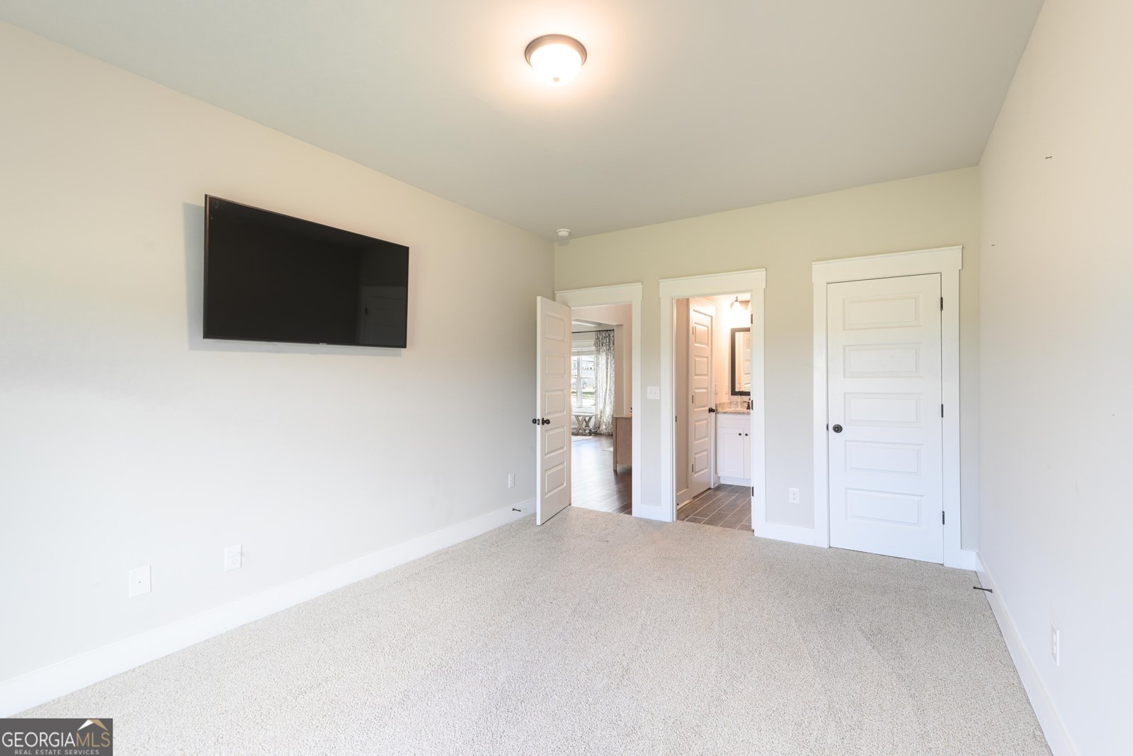 232 Township Drive Senoia - Photo 10