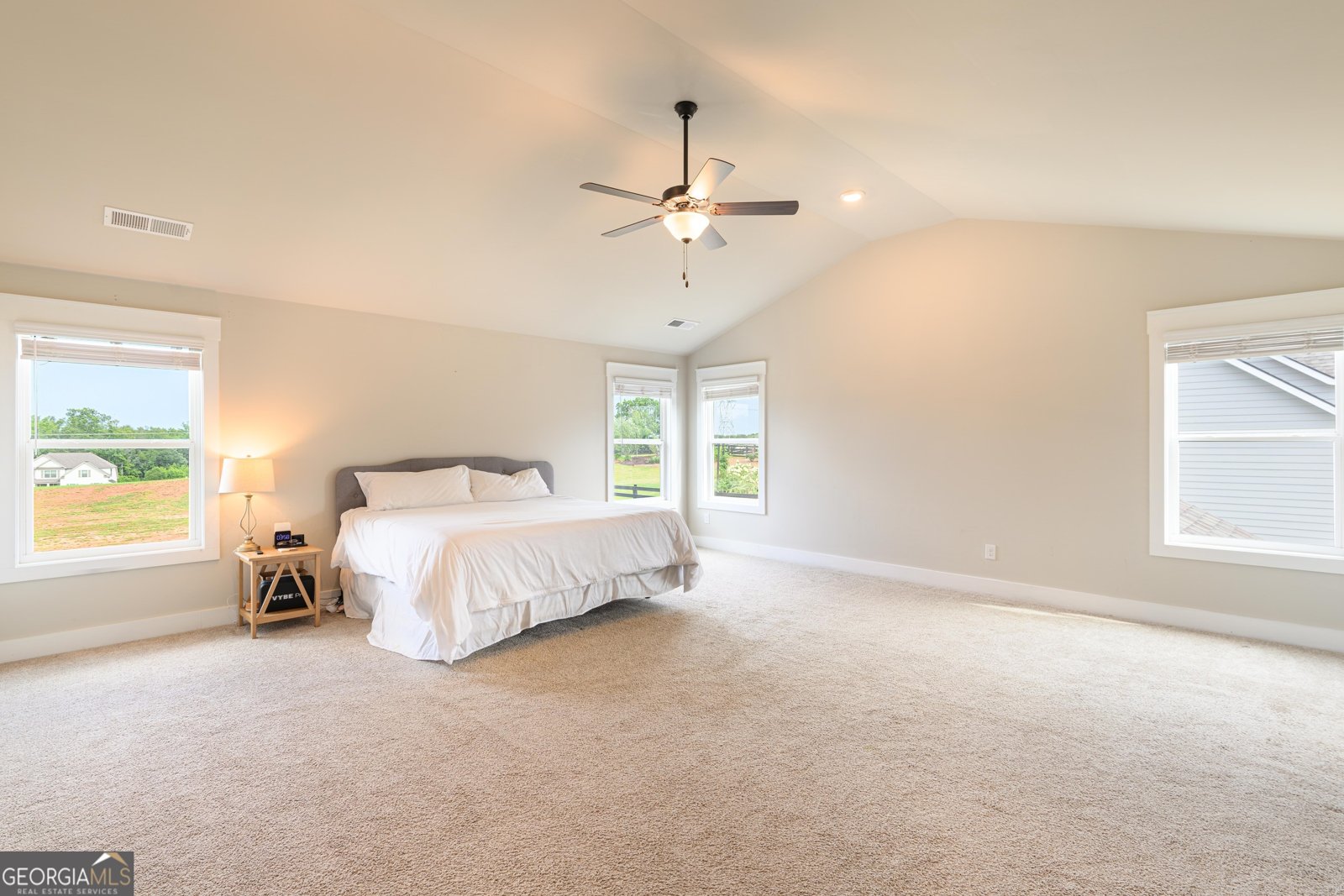 232 Township Drive Senoia - Photo 6