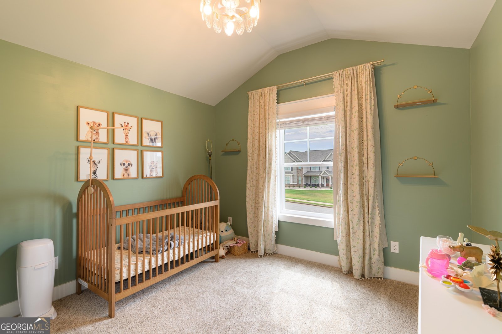 232 Township Drive Senoia - Photo 8
