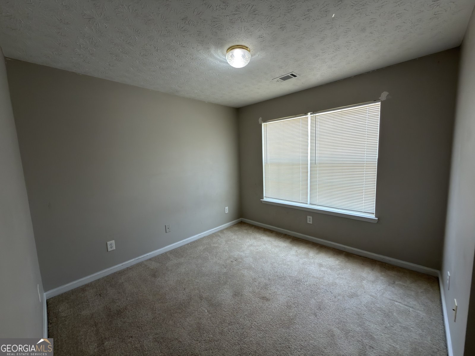 4368 Gray Raptor Circle Snellville - Photo 27