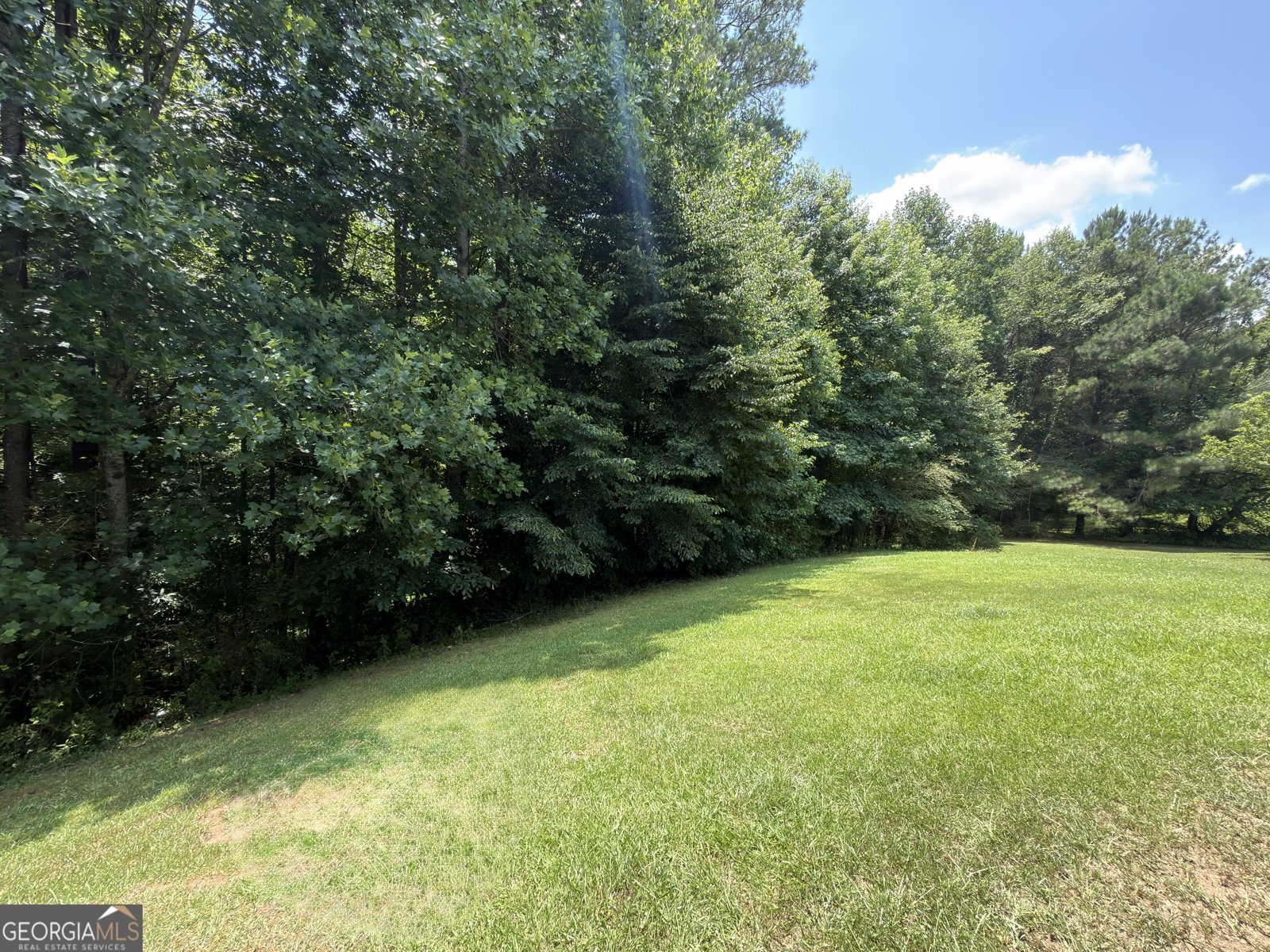 4368 Gray Raptor Circle Snellville - Photo 39