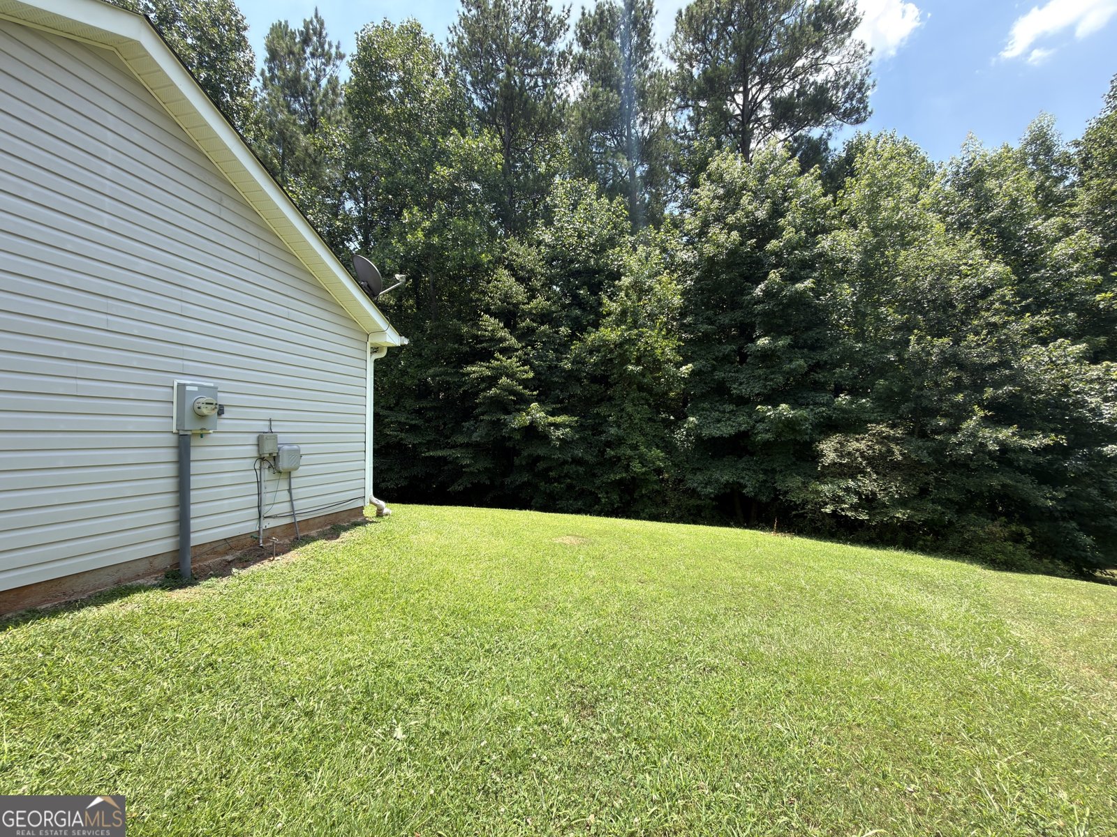 4368 Gray Raptor Circle Snellville - Photo 44