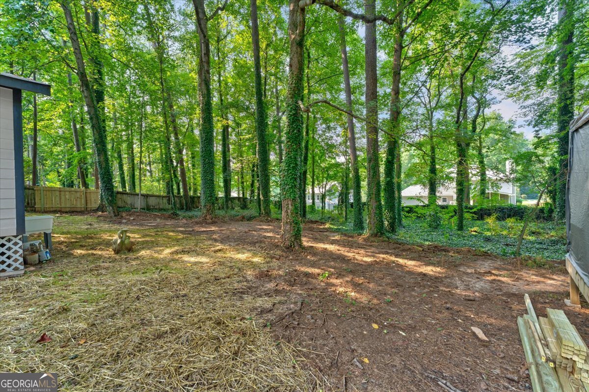 3121 Rio Montana Drive Marietta - Photo 50